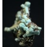 Plumbogummita