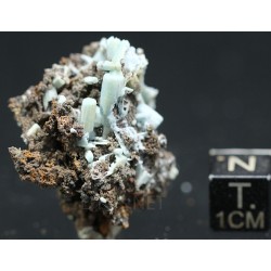 Plumbogummita