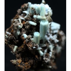 Plumbogummita
