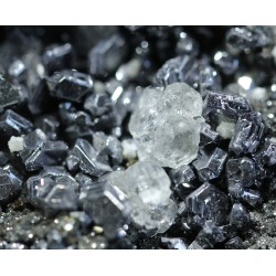 Galena con fluorita y pirita