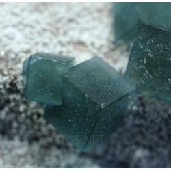 Fluorita