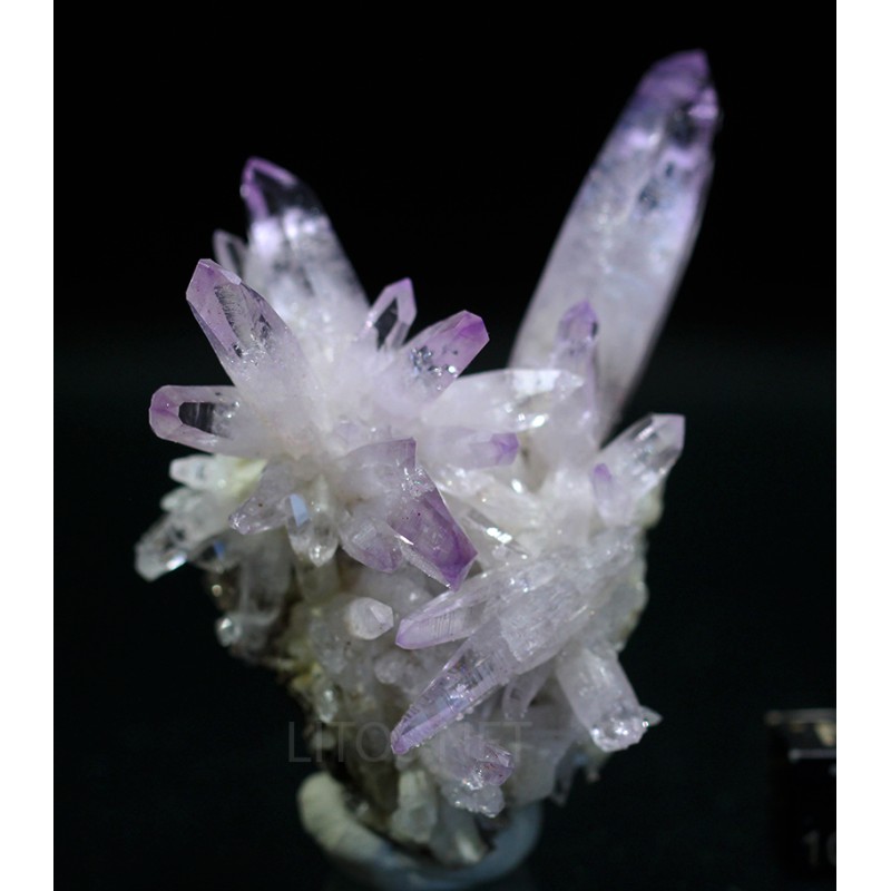 Amatista Amatista