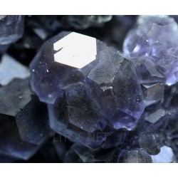 Fluorita