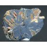 Hematite con Rutilo