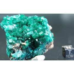 Dioptasa