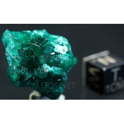 Dioptasa