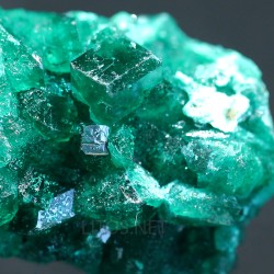 Dioptasa