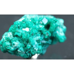 Dioptasa