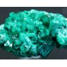 Dioptasa
