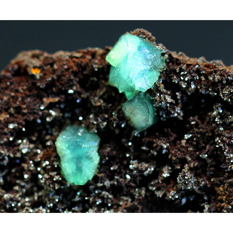Cuproadamina Cuproadamina