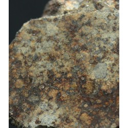 Meteorito NWA 869