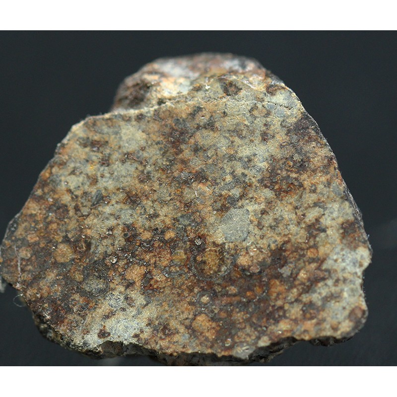 Meteorito NWA 869 Meteorito NWA 869