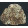 Meteorito NWA 869
