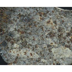 Meteorito NWA 869