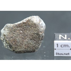 Meteorito NWA 869