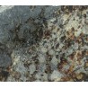 Meteorito NWA 869