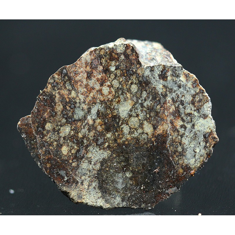 Meteorito NWA 869 Meteorito NWA 869