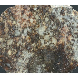 Meteorito NWA 869