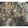 Meteorito NWA 869