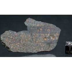 Meteorito condrita carbonácea
