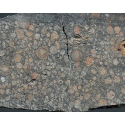 Meteorito condrita carbonácea