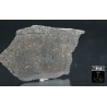 Meteorito condrita carbonácea