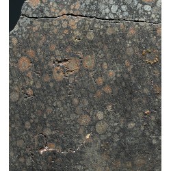 Meteorito condrita carbonácea