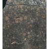 Meteorito condrita carbonácea