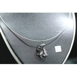 Meteorito colgante