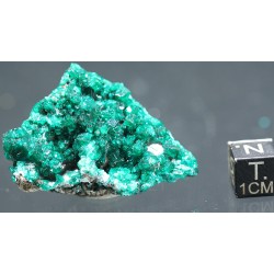 Dioptasa