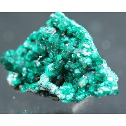 Dioptasa