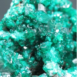 Dioptasa