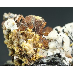 Niobiofilita