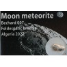 Meteorito lunar brecha anortosita