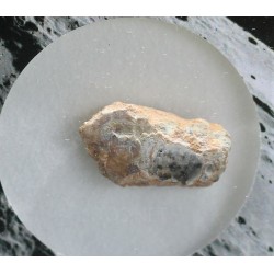 Meteorito lunar brecha anortosita