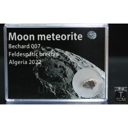 Meteorito lunar brecha anortosita