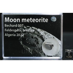Meteorito lunar brecha anortosita