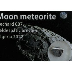 Meteorito lunar brecha anortosita