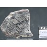 Meteorito Seymchan