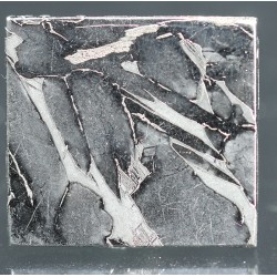 Meteorito Seymchan