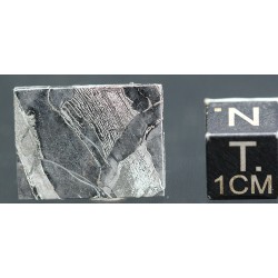 Meteorito Seymchan