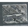 Meteorito Seymchan