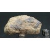 Al Haggounia 001