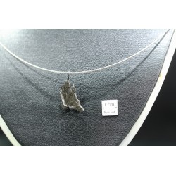 Meteorito colgante