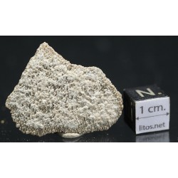 Cáscara de huevo de dinosaurio