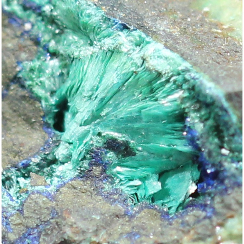 Tirolita Tirolita