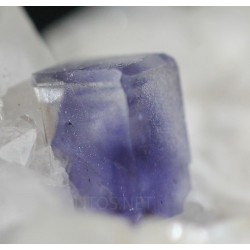 Fluorita