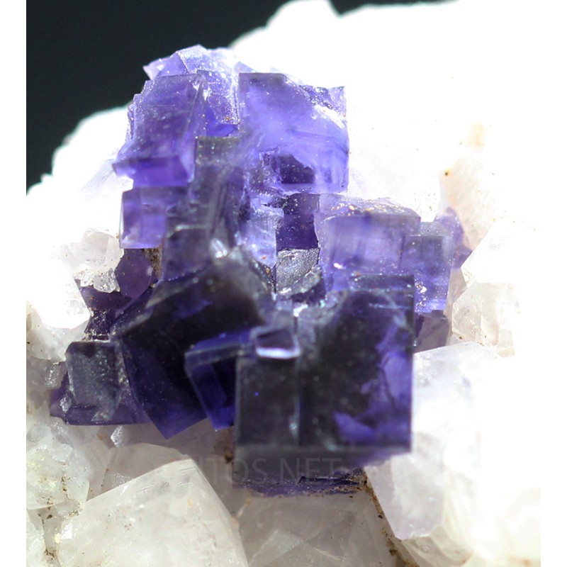 Fluorita Fluorita