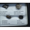 Colección de meteoritos y tectita
