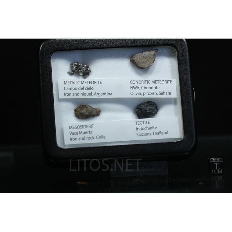 Colección de meteoritos y tectita